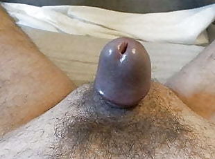 Micro Penis Creampie