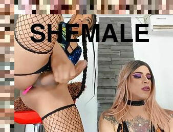 Sex with sexy shemales on Cruisingcams.com