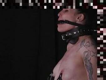 Rose Jai rides the Sybian bound with a harmonica gag