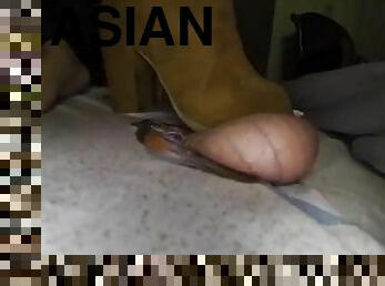 Asian Mistresses Boot giving balls a hand.