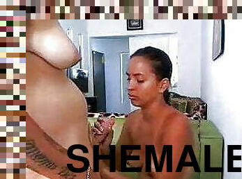 Shemale fuck hot girl anal