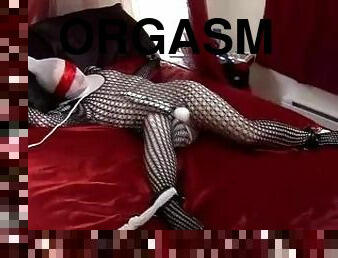 Sweet girl encased in white tights and fishnet bodysuit is bondaged and on vibrated until orgasm
