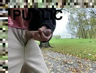 Large public cumshot followed by huge squirting piss stream outdoors on a fall day. Cum piss cock!