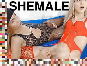Sexy Shemales Fuck Together
