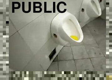 offentlig, bøsse, toilet, solo