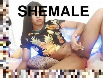 Beautiful young shemale dildoing her anus