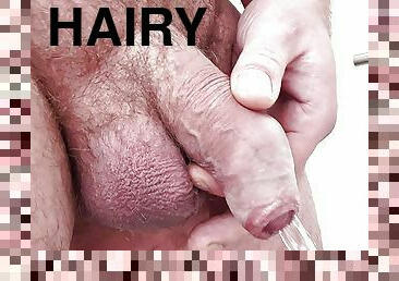 Hairy Daddy Bear foreskin pissing and stroking his fat uncut cock