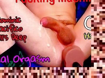 BIG COCK Dominic Pacifico DILDO From Mr Hankey's Toys ANAL Orgasm CUM - FULL VIDEO ON UVIU