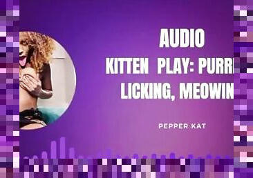 Kitten Play Audio: Purring, Meowing, Licking